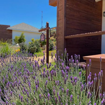 Entrevalle Hotel Boutique Valle de Guadalupe Exteriör bild