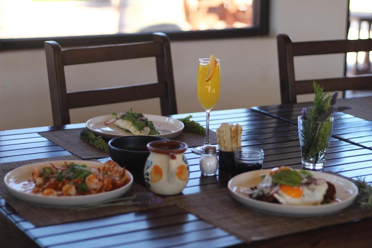 Entrevalle Hotel Boutique Valle de Guadalupe Exteriör bild