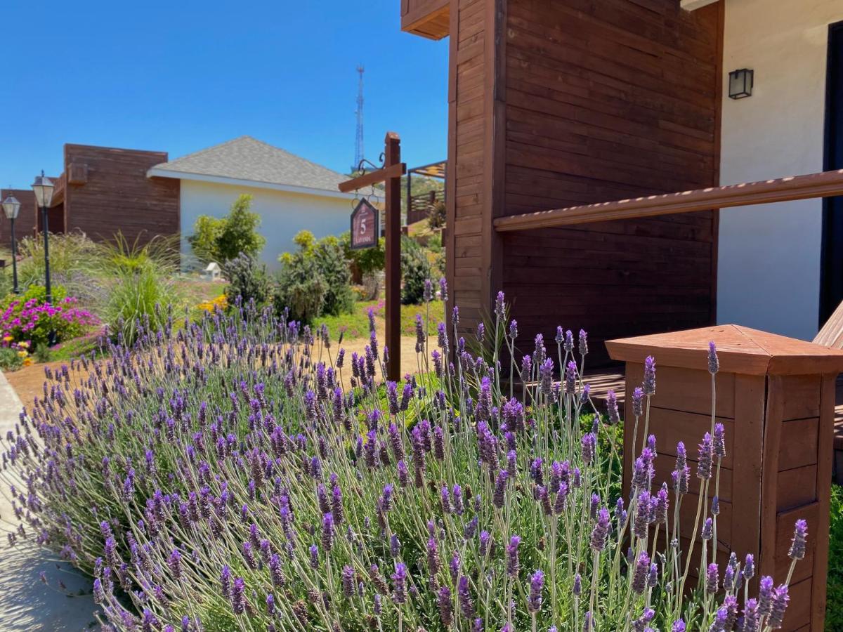 Entrevalle Hotel Boutique Valle de Guadalupe Exteriör bild