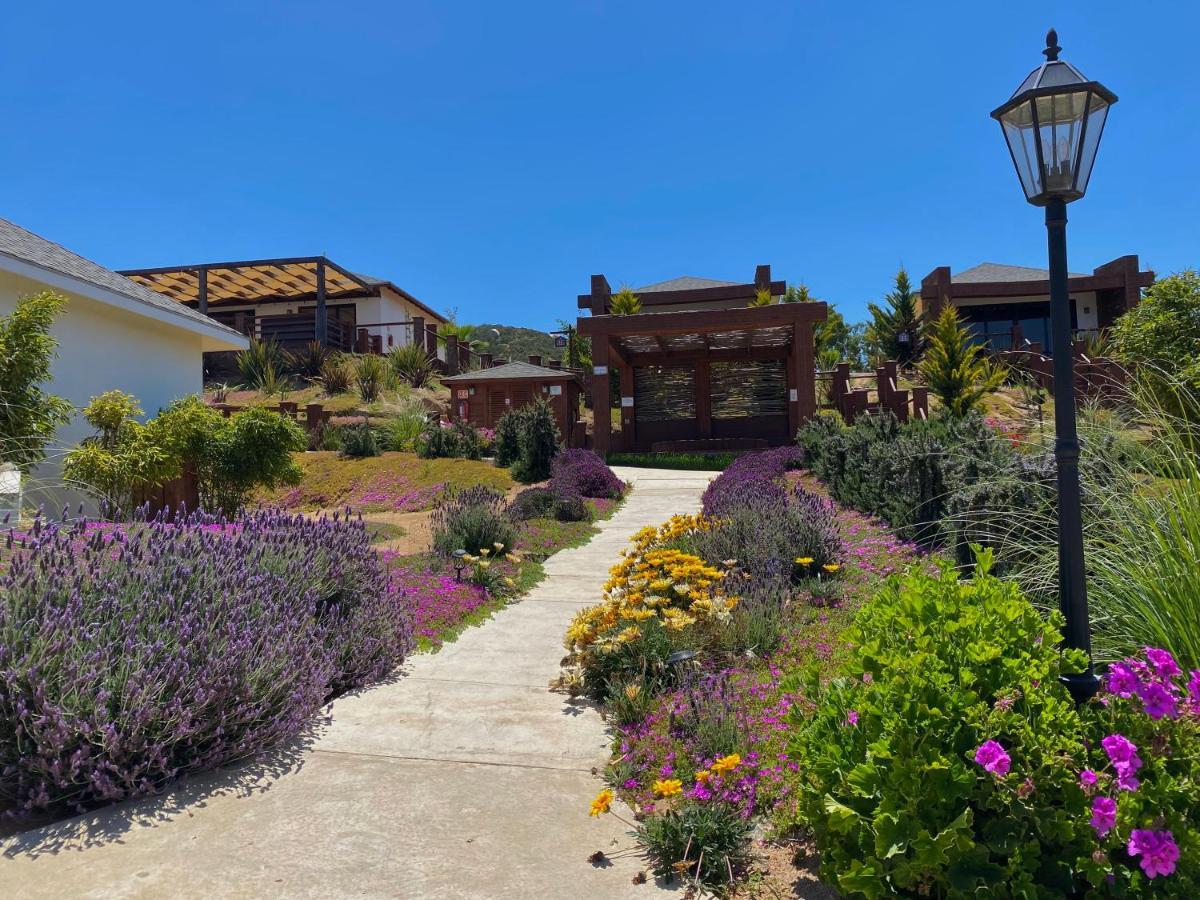 Entrevalle Hotel Boutique Valle de Guadalupe Exteriör bild